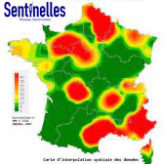 Le covid, vu du côté du réseau Sentinelle …