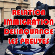 Corrélation entre immigration et délinquance : la gauche refuse d’y croire. Et pourtant !